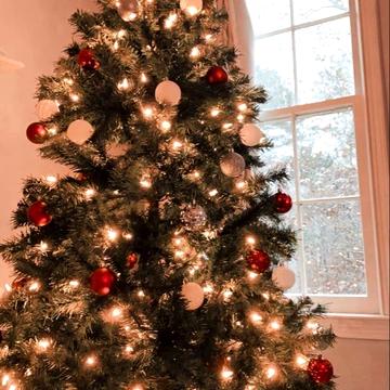 Сімї Глодан вул., 6