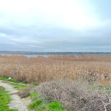 Безіменна вул., 55 А