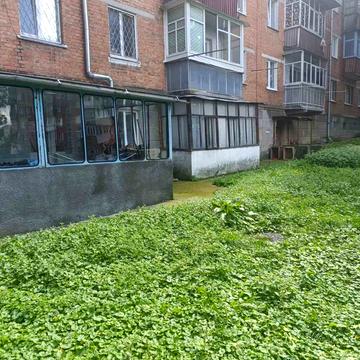 Камянецька вул., 68