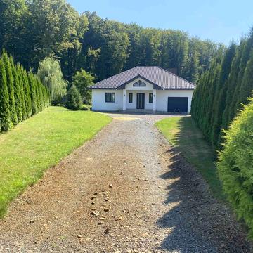 Анатолия Голика