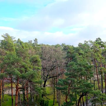 Соборна вул., (Будинок 1)