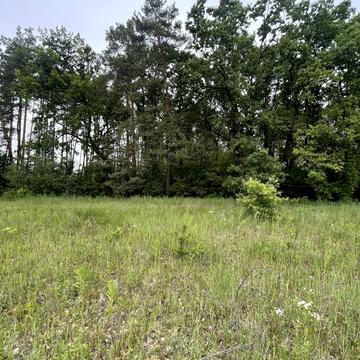 Дмитрівка, Бучанський, Київська область 35000.0 USD