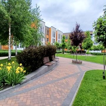 Наталії Околітенко вул. (Ломоносова), 79