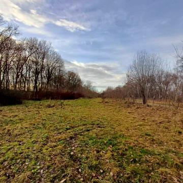 Домажир, Яворівський, Львівська область 9000.0 USD