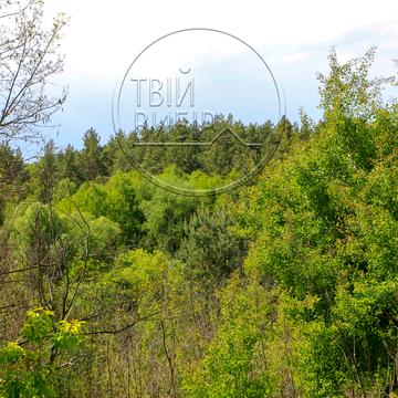 Гореничі, Бучанський, Київська область 47000.0 USD