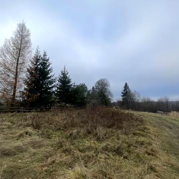 Майдан, Львівський, Львівська область 29000.0 USD