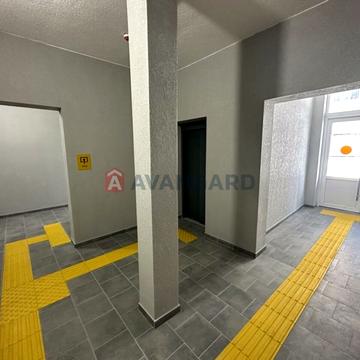 Панаса Мирного вул., 1