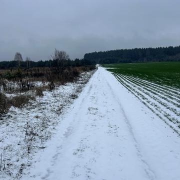 Юрів, Бучанський, Київська область 6000.0 USD