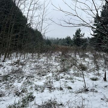 Юрів, Бучанський, Київська область 4000.0 USD