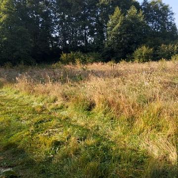 Паланки, Яворівський, Львівська область 8000.0 USD