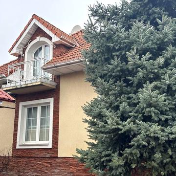 Одноволика, 10