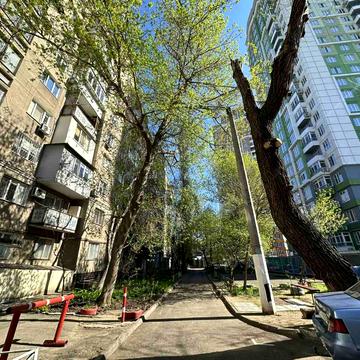 Ботанічний пров., 2