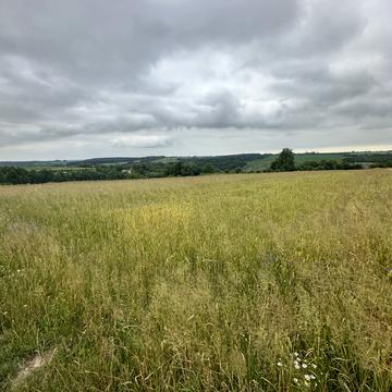 Поршна, Львівський, Львівська область 26040.0 USD