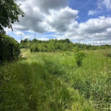 Миколаїв, Стрийський, Львівська область 120000 USD