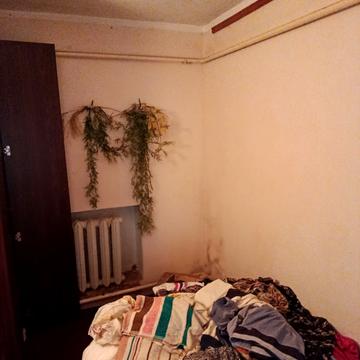 10 Лінія вул.