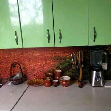 Івана Їжакевича вул., 23