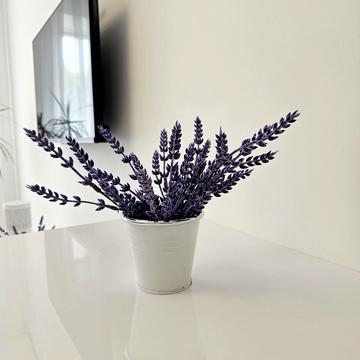 Юліана Целевича вул., 4-В