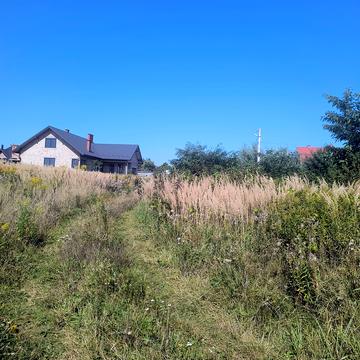 Пасічна вул.