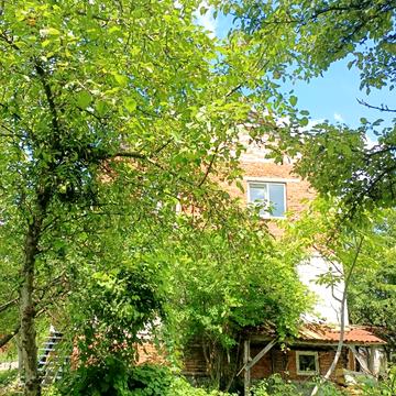 Долинна вул.