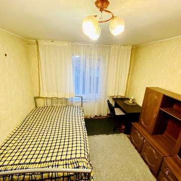 Лютневий пров.