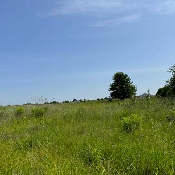 Центральна