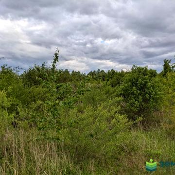 Старий Лисець, Івано-Франківський, Івано-Франківська область 7500.0 USD