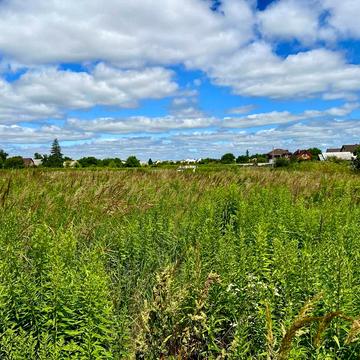 Черняхівського вул.