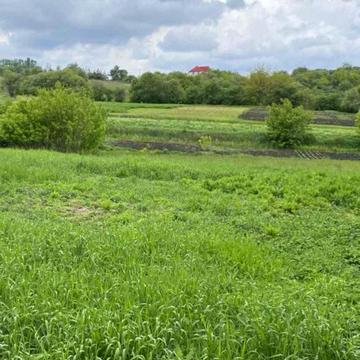 Хліборобська