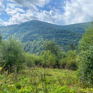 Славське, Стрийський, Львівська область 80000.0 USD