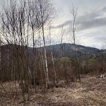 Славське, Стрийський, Львівська область 80000.0 USD