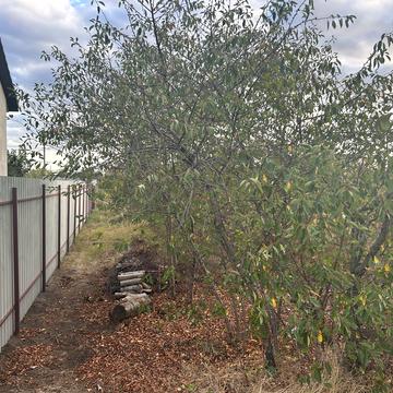 Озерна вул., 1