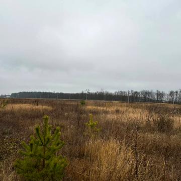 Лісне, Бучанський, Київська область 11000.0 USD