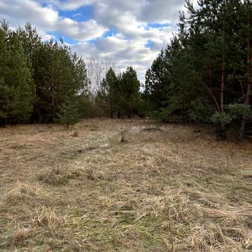 Новогородецьке, Житомирський, Житомирська область 65000.0 USD