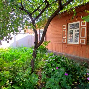 Карпенка-Карого вул. (Станіславського)