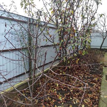 Дніпровська вул., 2