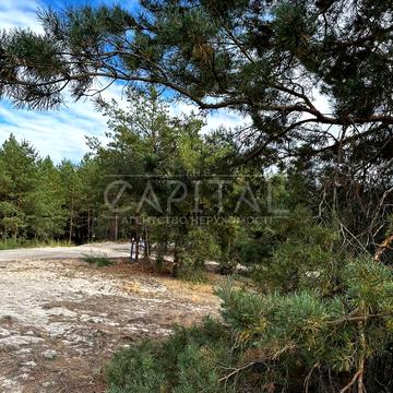 Сагайдачного