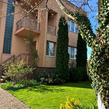 Центральна