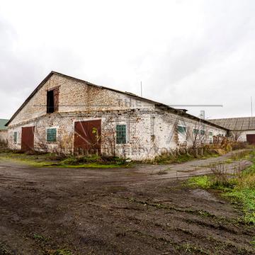 Затишна, 5