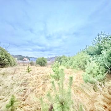 Олександріївська