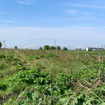 Підлужжя, Івано-Франківський, Івано-Франківська область 42000.0 USD