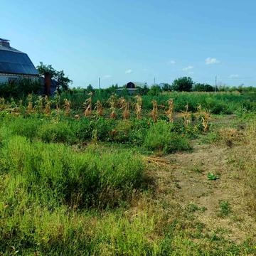 Яворницького, 20