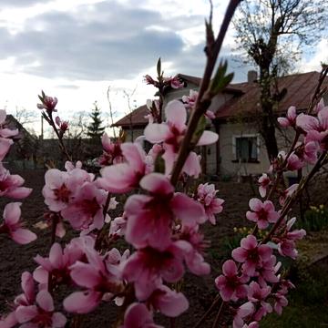 Національного Відродження вул.