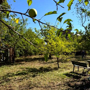 Цукровий проїзд