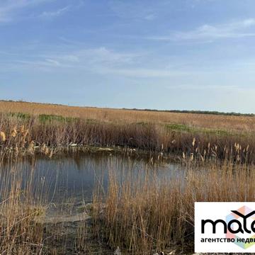 вул. Придністровська