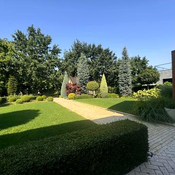 сосновый берег