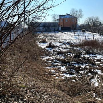 Центральна