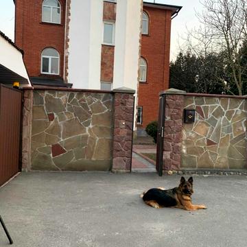 Бродівська вул.