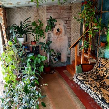 15-та лінія вул.