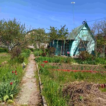 кооп Заря, 6