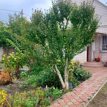 Приморська вул.